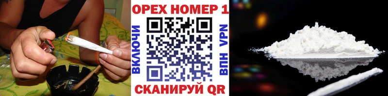 что такое   Шагонар  Кокаин Колумбийский 