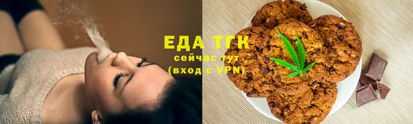 твердый Новозыбков
