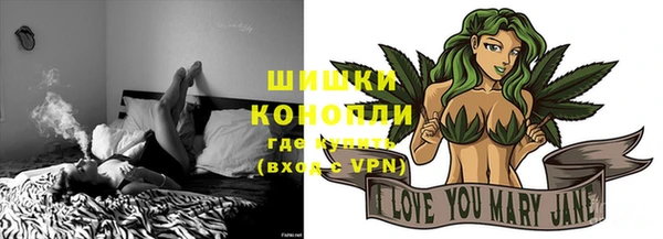 твердый Новозыбков