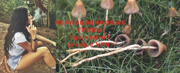MDMA Новодвинск