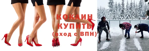 твердый Новозыбков