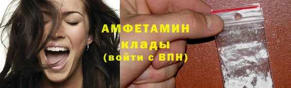 твердый Новозыбков