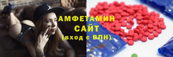 твердый Новозыбков