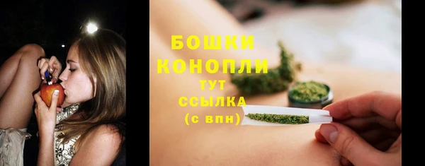 твердый Новозыбков
