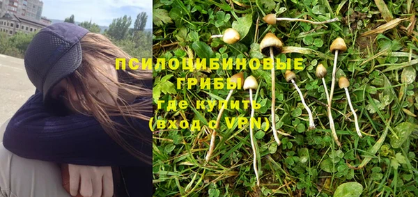 MDMA Новодвинск