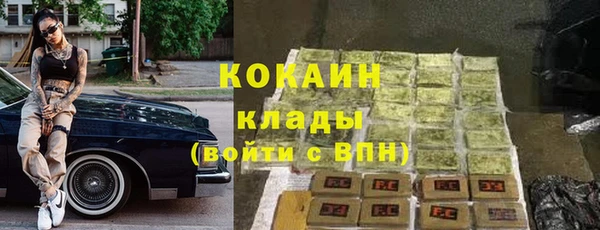 твердый Новозыбков