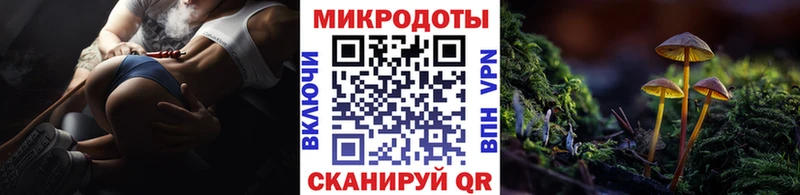 Псилоцибиновые грибы Psilocybe  купить наркотики цена  Шагонар 