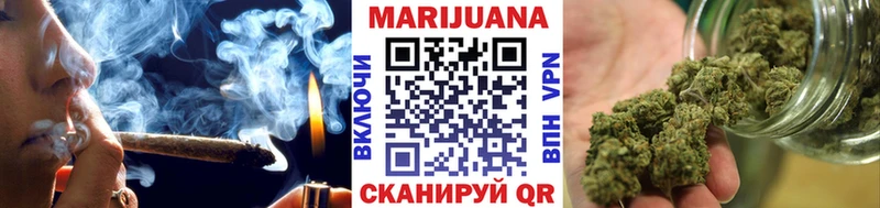 МАРИХУАНА план  продажа наркотиков  Шагонар 